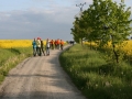 IMG_7222 (Small)