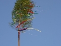 IMG_7191 (Small)